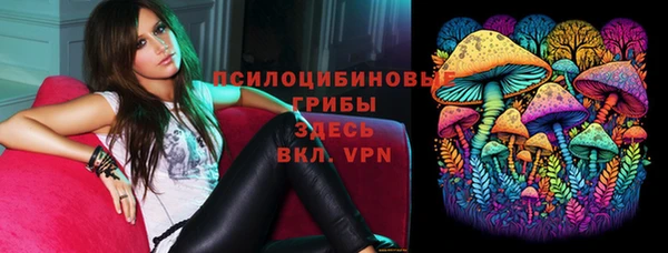 не бодяженный Алексин