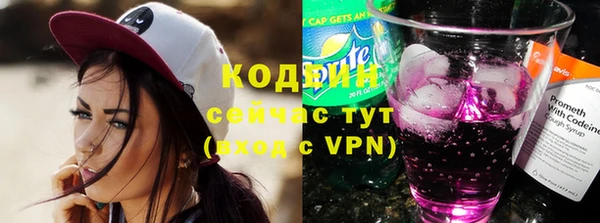 ешки Алзамай