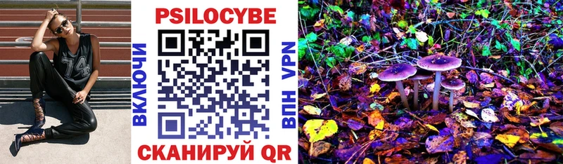 Псилоцибиновые грибы Magic Shrooms  Чехов 